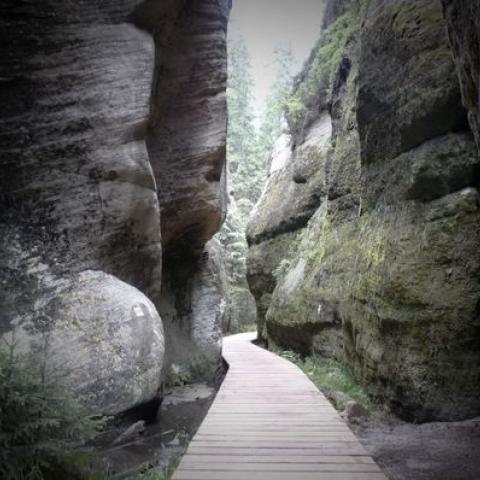 Povalový chodník, Vlčí rokle - Adršpašsko-teplické skály, rekonstrukce 6