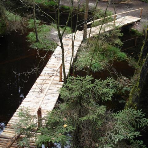 Povalový chodník, Vlčí rokle - Adršpašsko-teplické skály, rekonstrukce 3