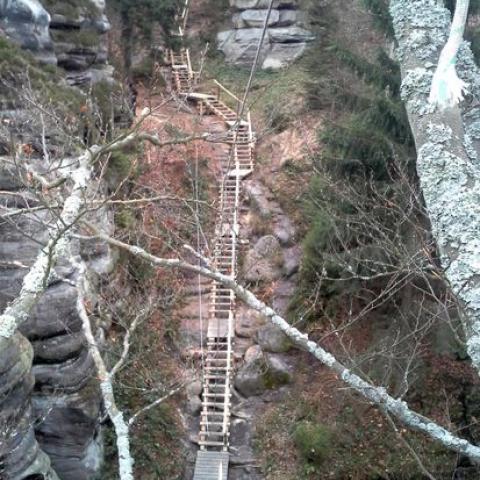 Dřevěné žebříky - Bichofštěin