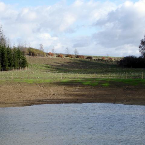 Krajinářské práce - Biocentrum - obec Benátky