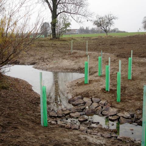 Krajinářské úpravy - revitalizace Černého potoka - Jičín 2