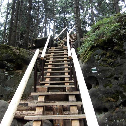 Dřevěný chodník 2