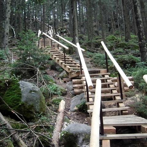 Dřevěný chodník 3