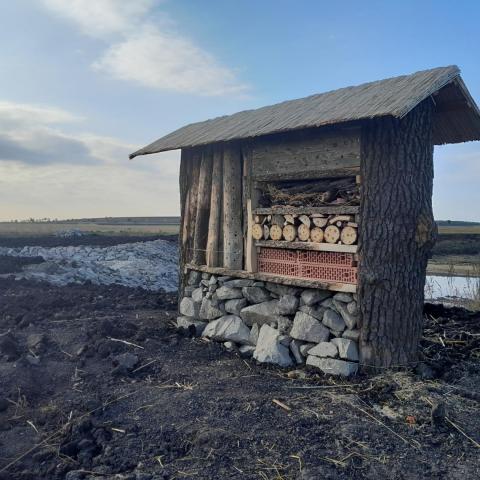 Hmyzí hotel Chotěšice
