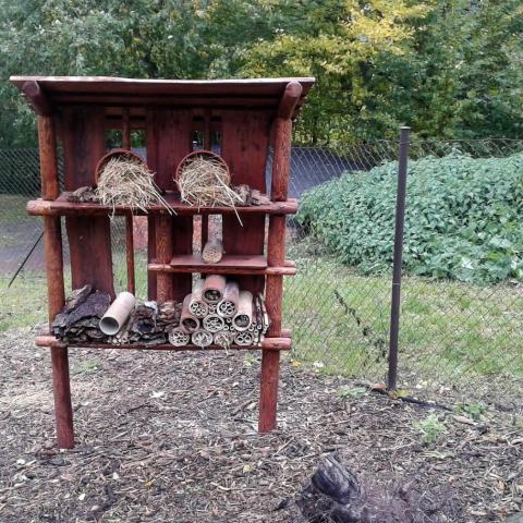 SZ Masarykova, Náchod - Hmyzí domek